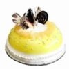 Delicious Pineapple Cake adorned with chocolate cuttings, showcasing a vibrant and appetizing dessert that combines fruity flavors with rich chocolate.