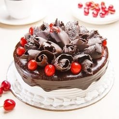 Chocolate Black Forest Cake showcasing layers of rich chocolate sponge, topped with whipped cream, cherries, and chocolate shavings, ideal for festive occasions.