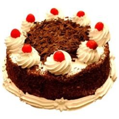 Cherished Black Forest Cake with layers of rich chocolate, cherries, and creamy frosting, ideal for birthdays and special occasions.