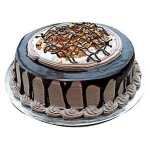 Special Chocolate Cake featuring rich layers of moist chocolate sponge, creamy frosting, and decorative chocolate shavings, perfect for any celebration.