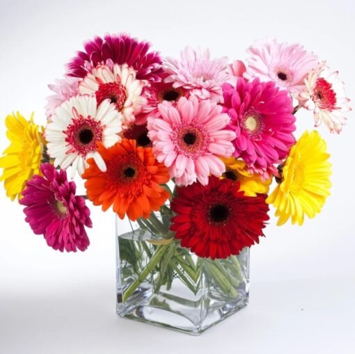Gerbera Glass Bouquet with vibrant gerbera flowers arranged in a clear glass vase, perfect for home decor or gifting.