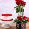 Scarlet Delight with Velvet Indulgence featuring a decadent red velvet cake paired with vibrant red roses, ideal for special occasions and gifts.