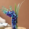 Stunning Blue Orchid Blooms featuring vibrant blue orchids in an elegant arrangement, ideal for gifts, home decor, or special occasions.