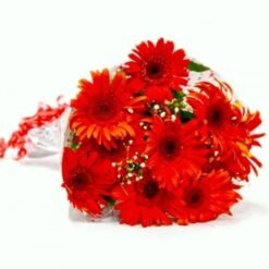 Stunning Gerbera Collection showcasing vibrant gerbera flowers arranged in various styles, ideal for gifting or enhancing home decor with color.