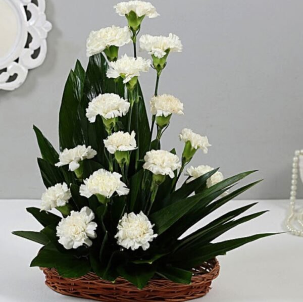 White Carnation Cane Basket Delight with fresh white carnations arranged in a natural cane basket, elegant floral gift for any occasion.