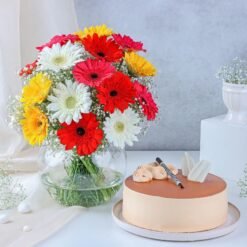 Golden Gerbera & Butterscotch Bliss combo with beautiful golden gerbera flowers and a rich, creamy butterscotch cake, perfect for any special occasion.